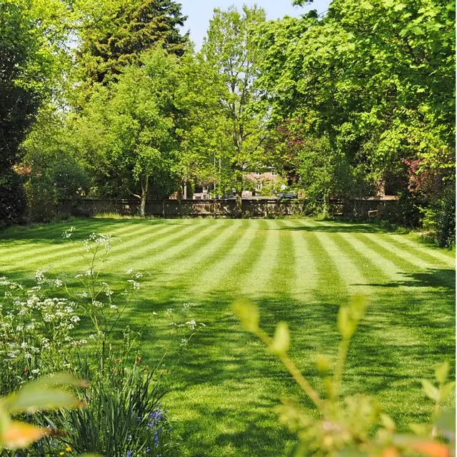 Garden Maintenance